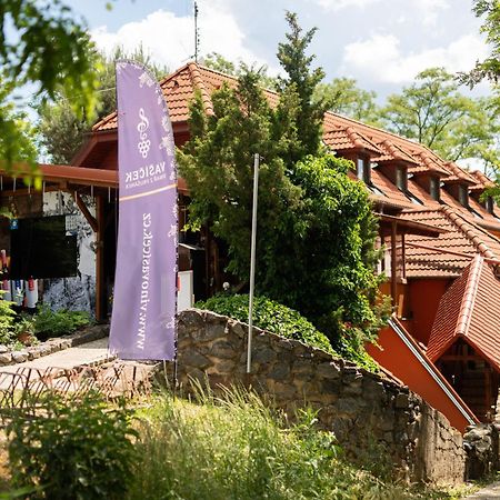 Penzion Nechorka Prušánky Exterior foto