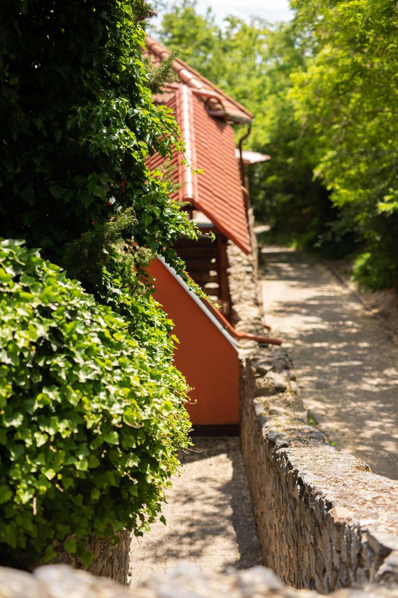 Penzion Nechorka Prušánky Exterior foto